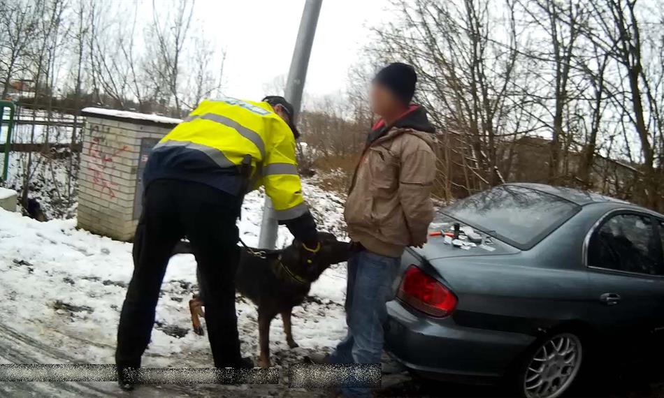 Služební pes kontroluje osobu